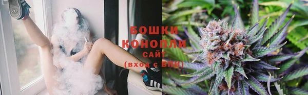 ГАЛЛЮЦИНОГЕННЫЕ ГРИБЫ Алексеевка