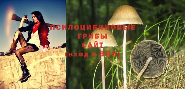 mdpv Михайлов
