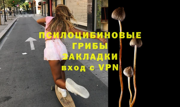 ГАЛЛЮЦИНОГЕННЫЕ ГРИБЫ Алексеевка